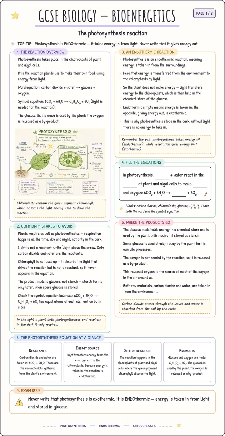 Sample page from Examva's illustrated AQA GCSE Biology notes: Bioenergetics