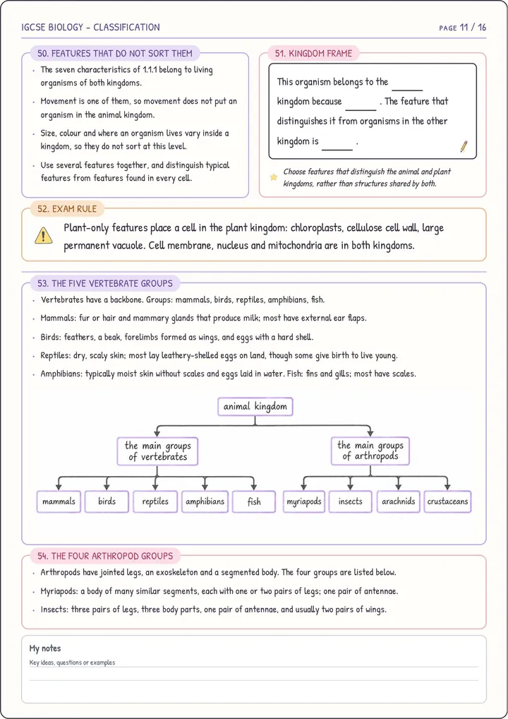 Sample page from Examva's illustrated Cambridge IGCSE notes